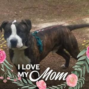 Meet your Posher, Tyrone